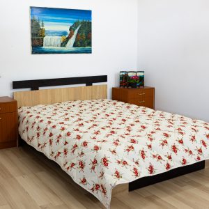 PILOTĂ cu înveliș din BUMBAC NETED