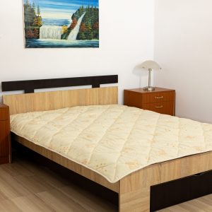 PILOTĂ cu umplutură din lână naturală